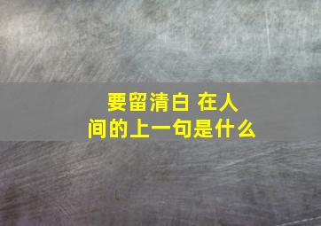 要留清白 在人间的上一句是什么